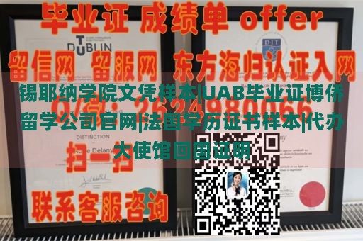 锡耶纳学院文凭样本|UAB毕业证博侨留学公司官网|法国学历证书样本|代办大使馆回国证明