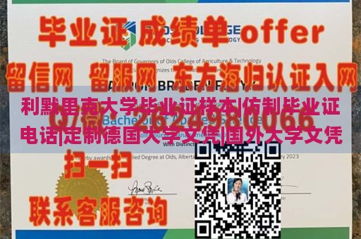 利默里克大学毕业证样本|仿制毕业证电话|定制德国大学文凭|国外大学文凭