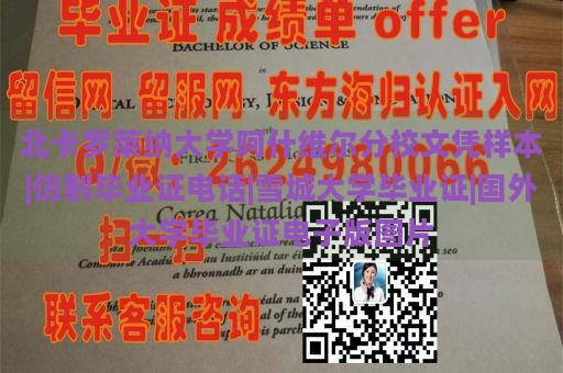 北卡罗莱纳大学阿什维尔分校文凭样本|仿制毕业证电话|雪城大学毕业证|国外大学毕业证电子版图片