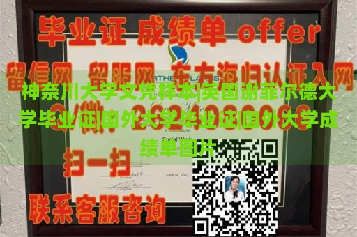 神奈川大学文凭样本|英国谢菲尔德大学毕业证|国外大学毕业证|国外大学成绩单图片